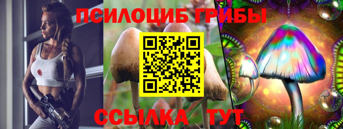 Евпатория  Галлюциногенные грибы Cubensis  Вход с VPN 